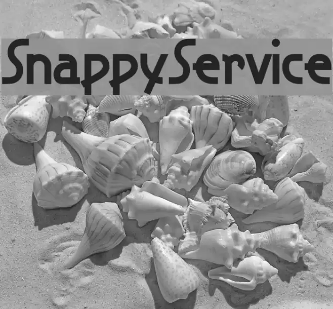 SnappyService Schriftart examples