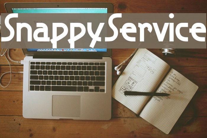 SnappyService Font examples
