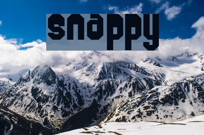 Snappy Font examples