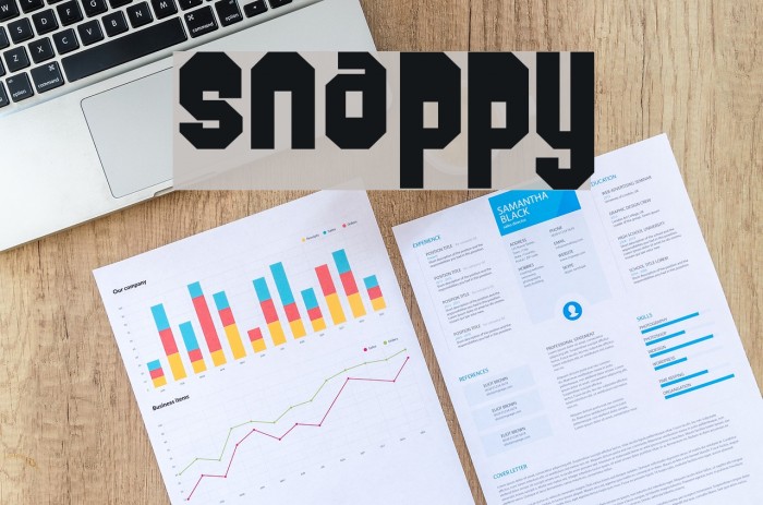 Snappy Font examples