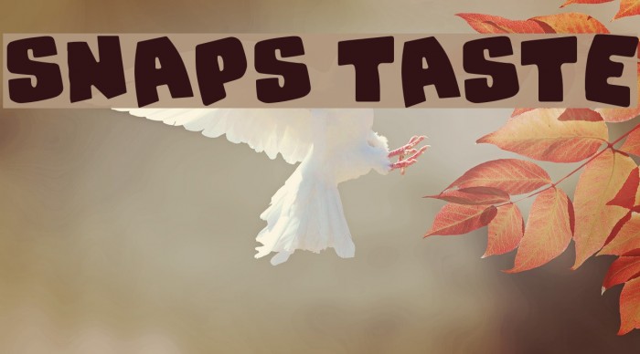 Snaps Taste Font examples