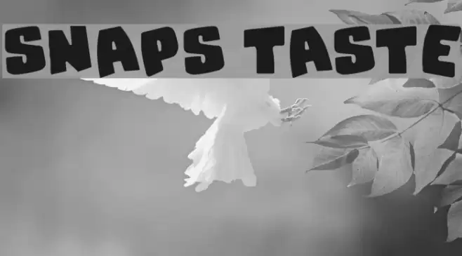 Snaps Taste Font examples