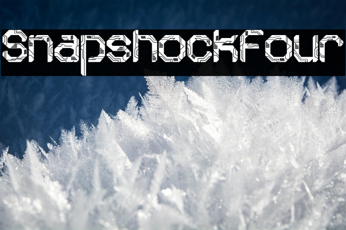 Snapshock Four Example 2