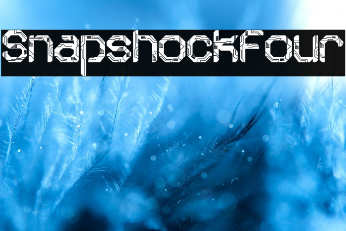 Snapshock Four Example 3