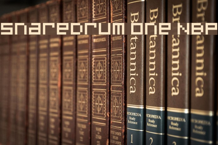 SnareDrum One NBP Font examples