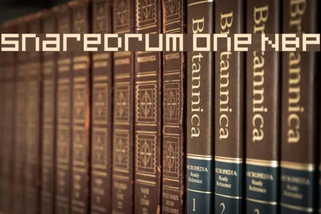 SnareDrum One NBP Example 2