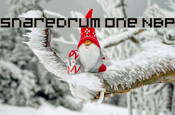 SnareDrum One NBP Font examples