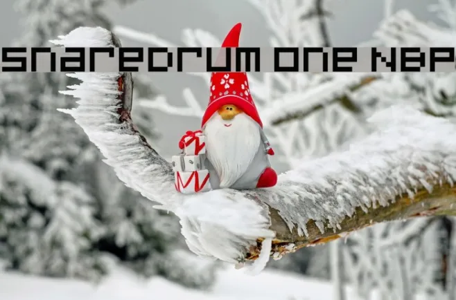 SnareDrum One NBP Example 3
