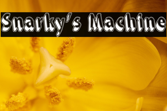 Snarky's Machine Example 1