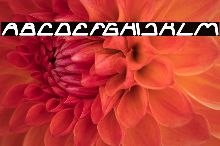 Sneak Peeks Bold Italic Example 2