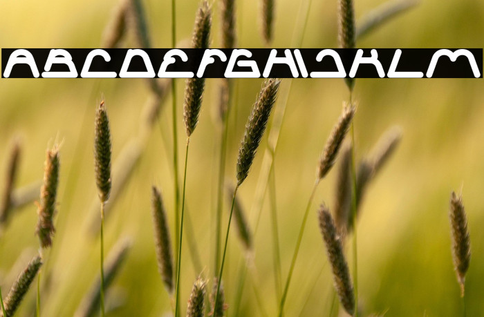 Sneak Peeks Bold Example 1