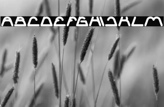 Sneak Peeks Bold Font examples