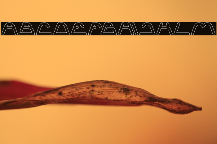 Sneak Peeks-Hollow Example 1