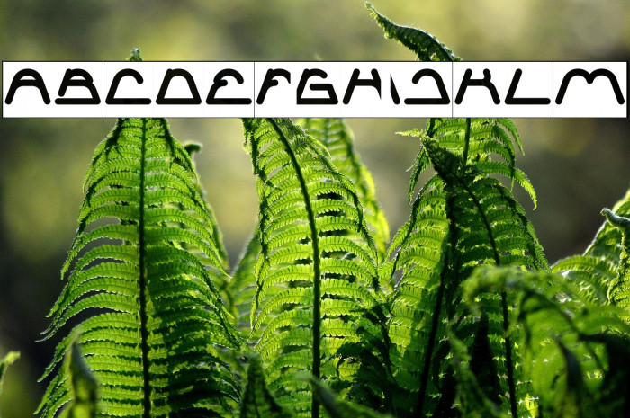 Sneak Peeks-Inverse Example 3