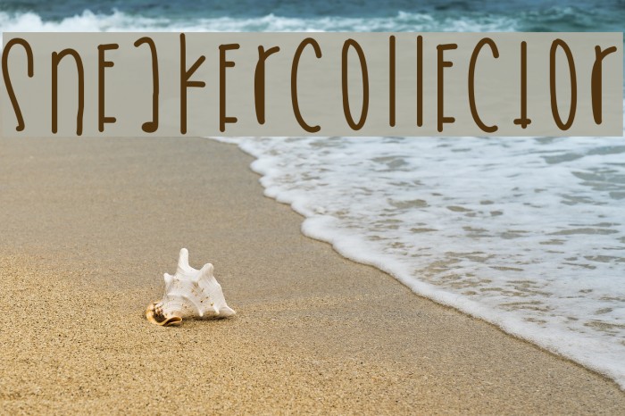 SneakerCollector Example 2