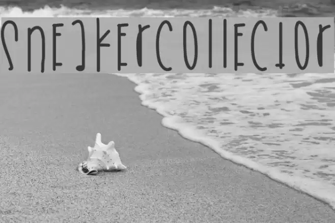 SneakerCollector Font examples