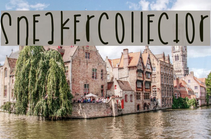 SneakerCollector Example 3