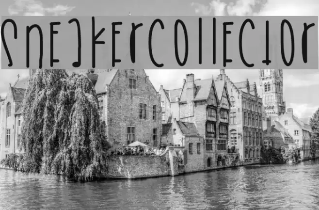 SneakerCollector Font examples