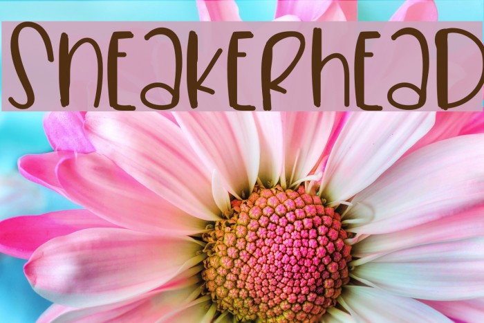 Sneakerhead Example 1