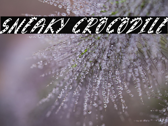 Sneaky Crocodile Example 1