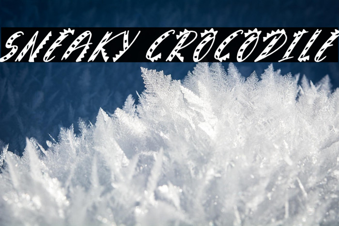 Sneaky Crocodile Example 3