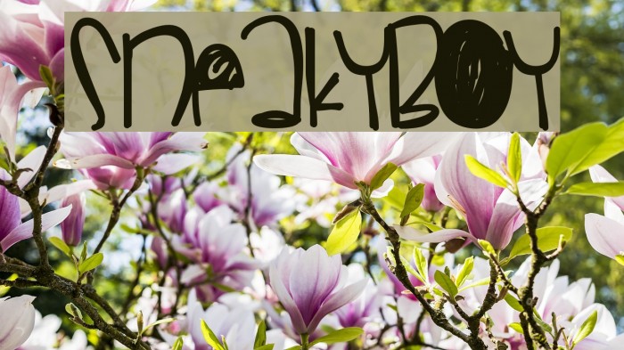 SneakyBoy Font examples