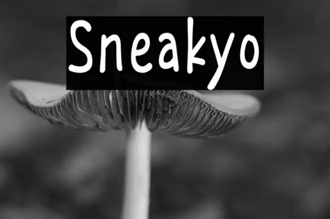 Sneakyo Font examples