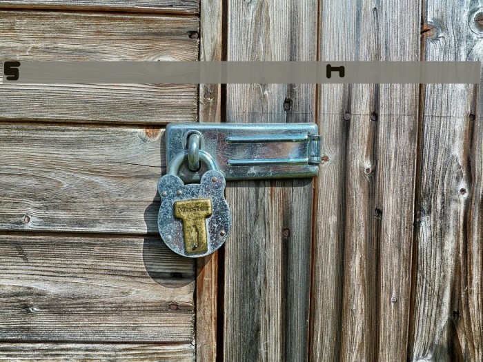 Sneflabb  Normal Example 1