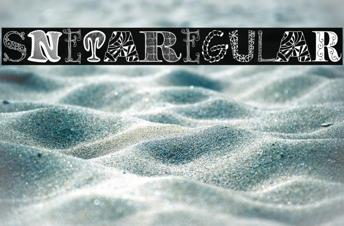 SnetaRegular Example 2