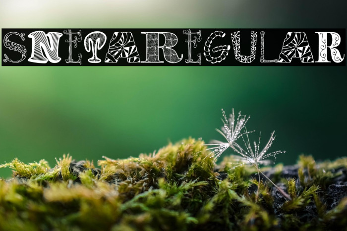 SnetaRegular Example 3