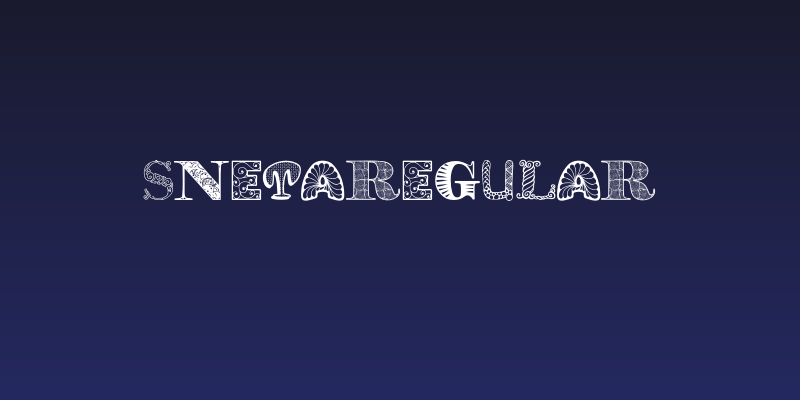 SnetaRegular Social Header