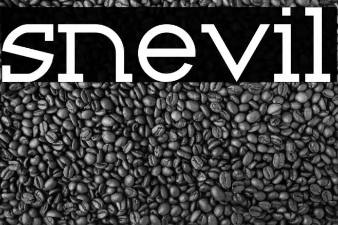 Snevil Font examples