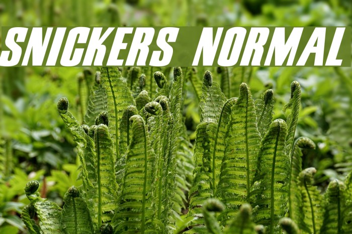 Snickers Normal Font examples