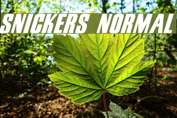 Snickers Normal Font examples