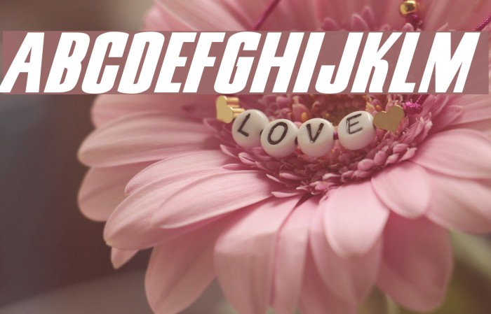 Snickers Normal Font examples