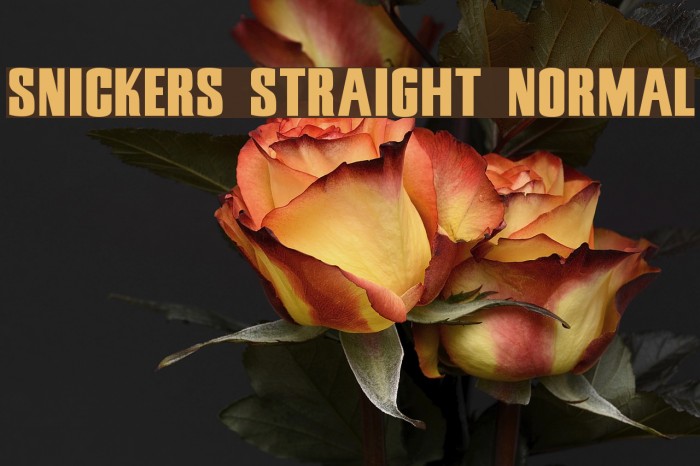 Snickers Straight Normal Font examples