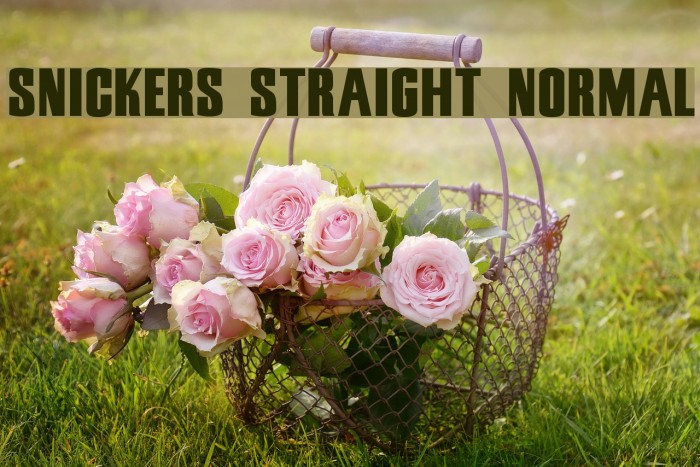 Snickers Straight Normal Font examples
