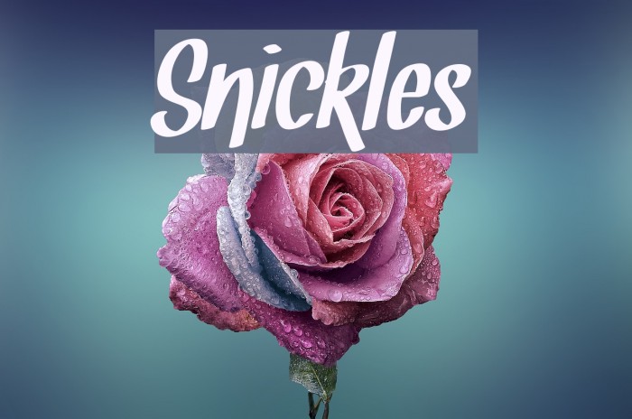 Snickles Font examples