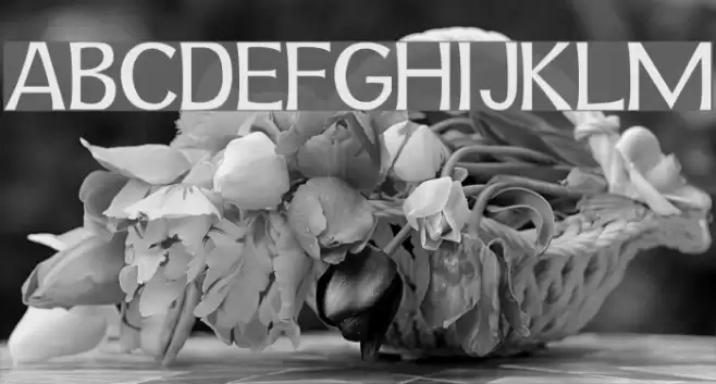 Snidane Font examples