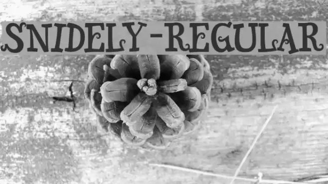 Snidely-Regular Font examples