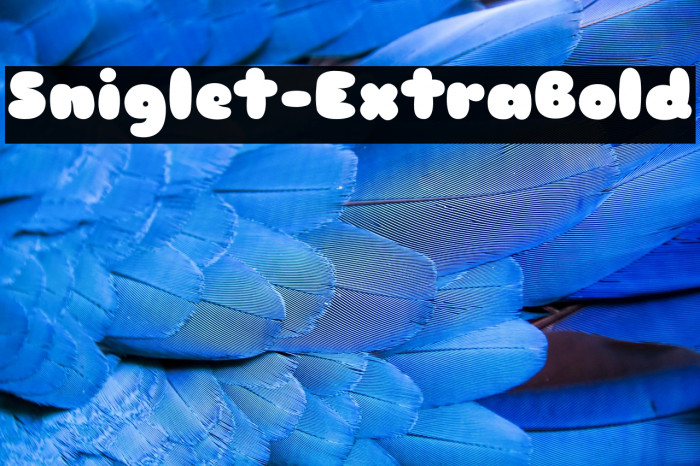Sniglet-ExtraBold Example 1