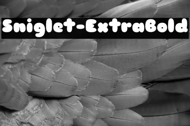 Sniglet-ExtraBold Шрифта examples