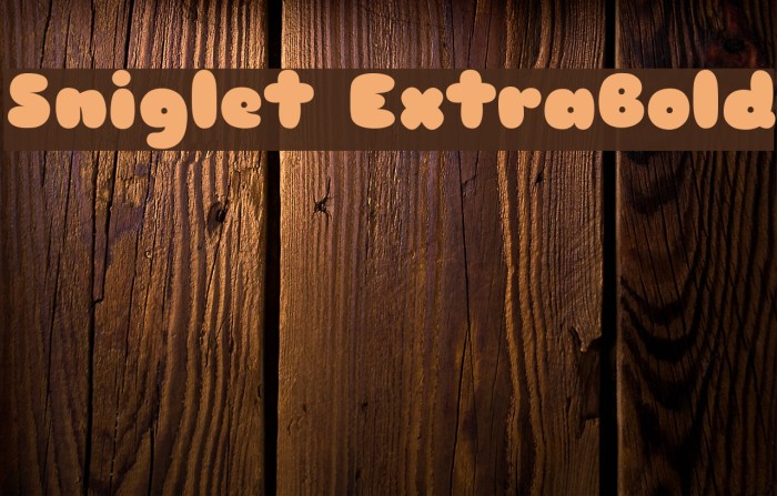 Sniglet ExtraBold Font examples