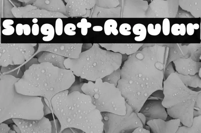 Sniglet-Regular Font examples