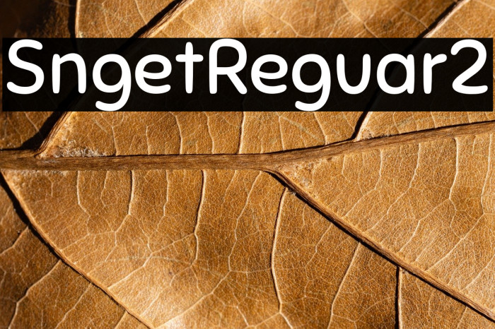 Sniglet-Regular2 Example 1
