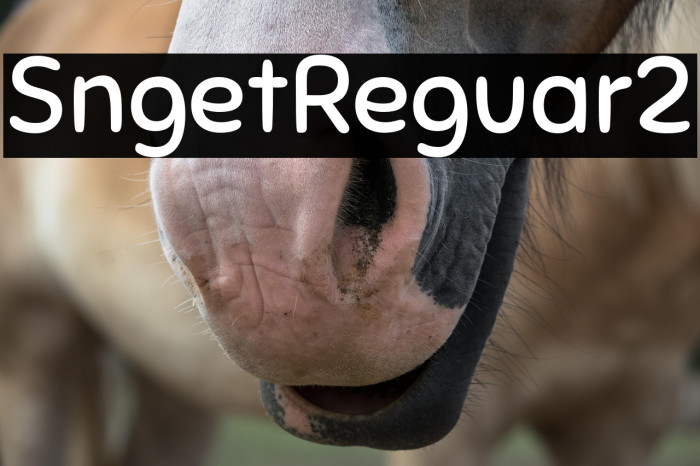 Sniglet-Regular2 Example 2