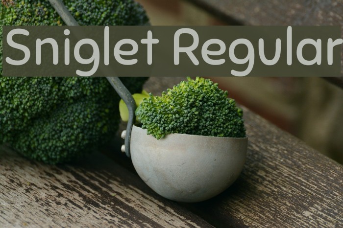 Sniglet Regular Font examples