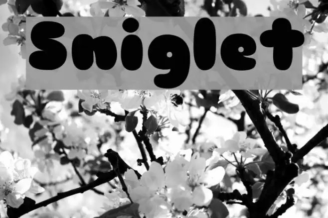 Sniglet Font examples