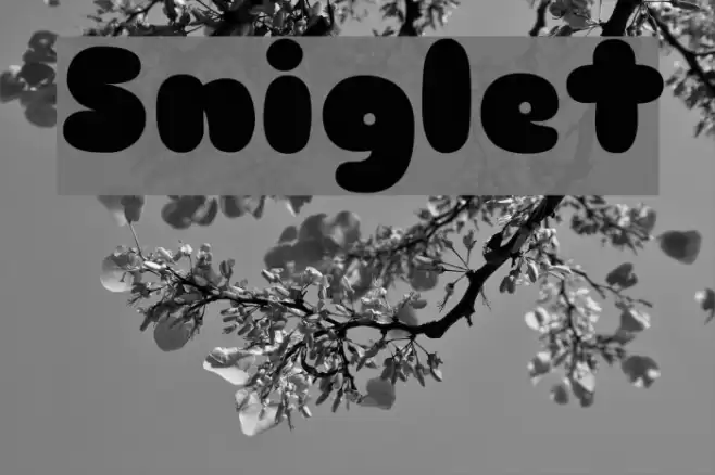 Sniglet Font examples
