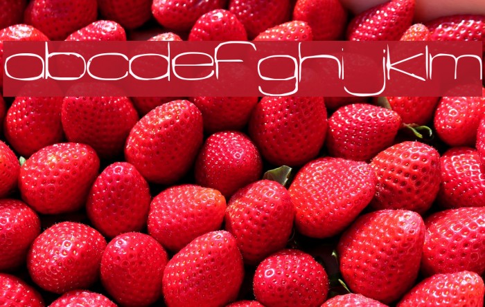 Snigset Font examples